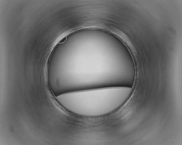 X0000110961242200906191043