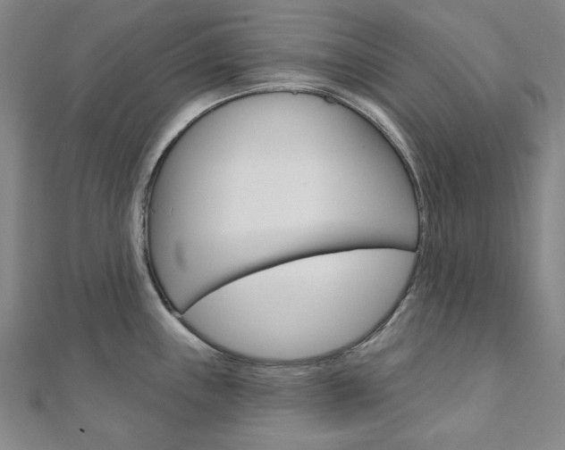 X0000110961243200906191043