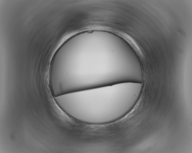 X0000110961244200906191043
