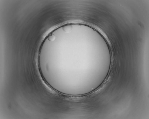 X0000110961245200906191043