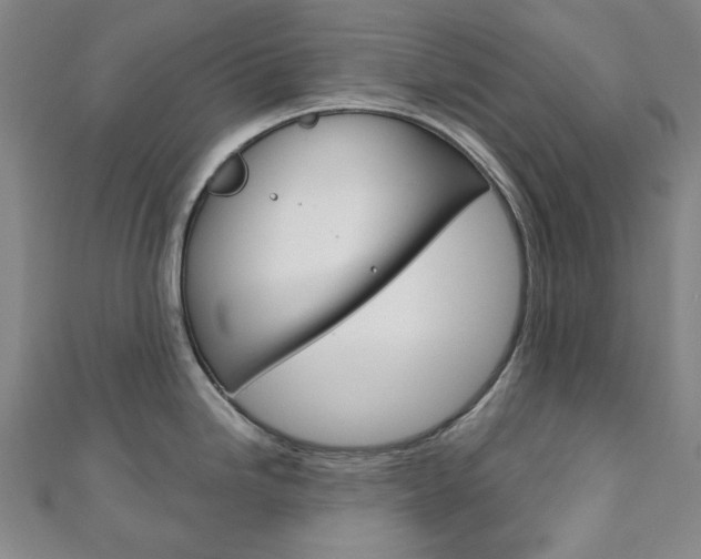 X0000110961246200906191043