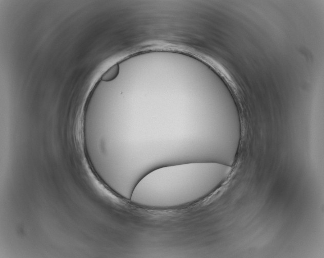 X0000110961247200906191043