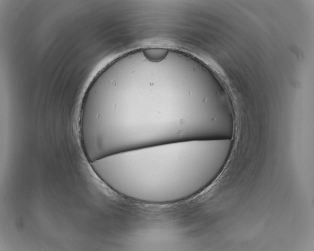 X0000110961248200906191043