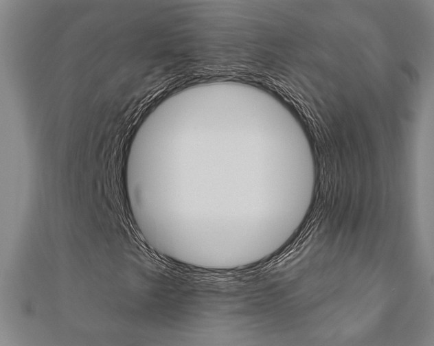 X0000110961249200906191042