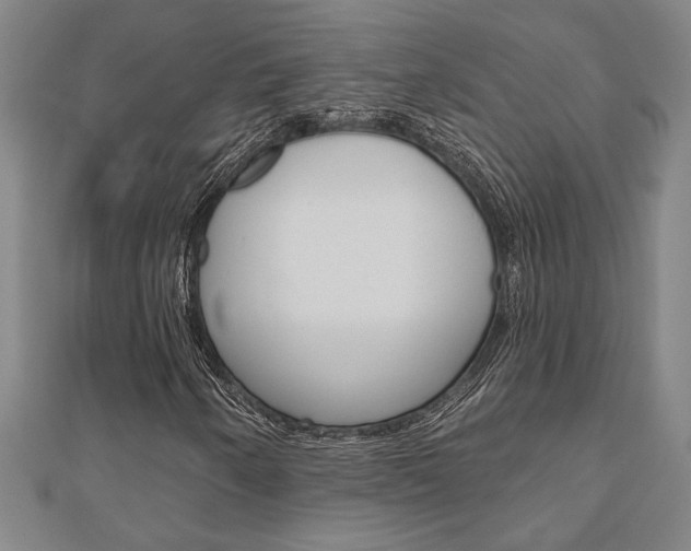 X0000110961250200906191042