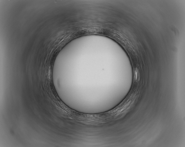 X0000110961251200906191042