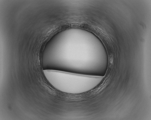 X0000110961252200906191042