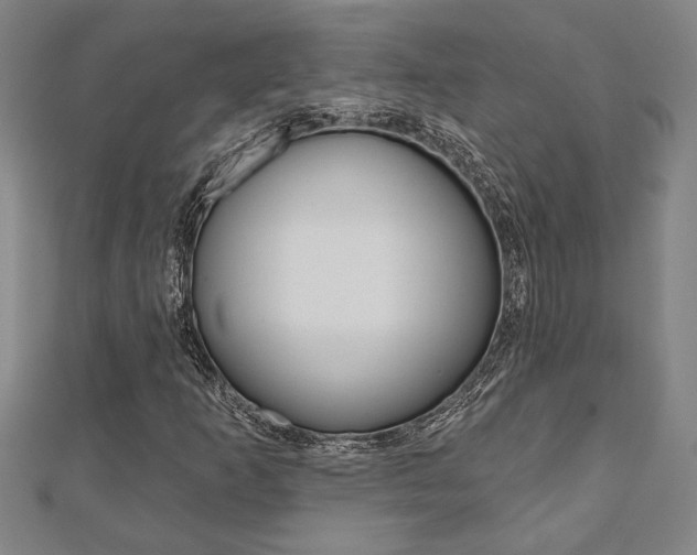 X0000110961253200906191042