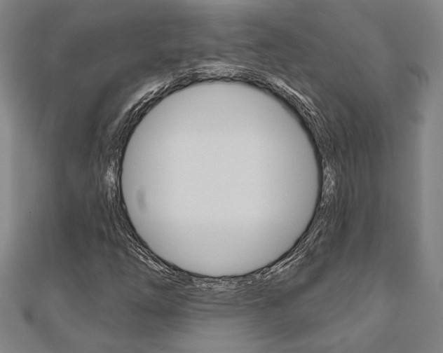 X0000110961254200906191042