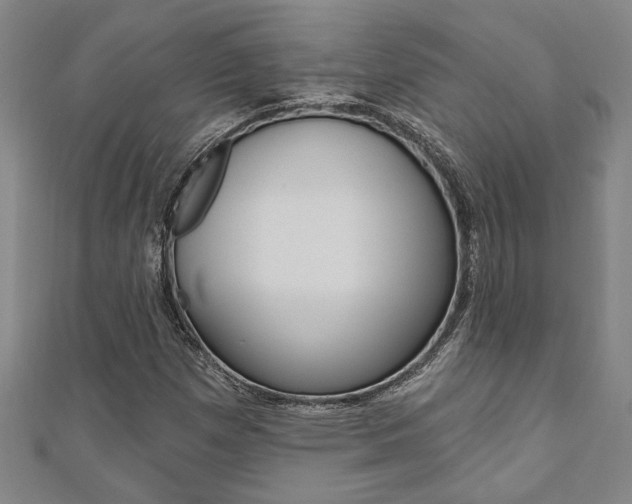 X0000110961257200906191042