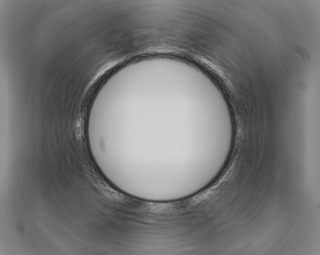 X0000110961258200906191042