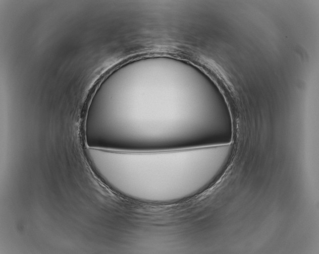 X0000110961260200906191042