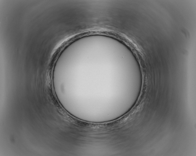 X0000110961262200906191042