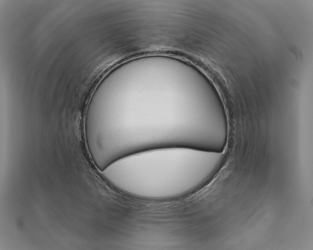 X0000110961265200906191042