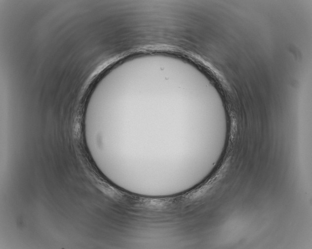 X0000110961266200906191042