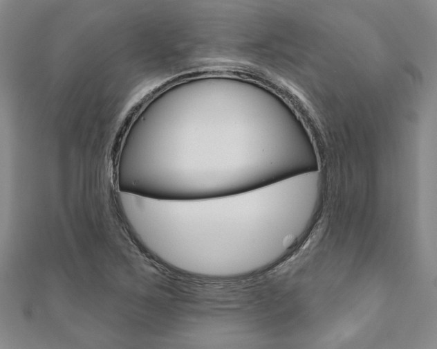 X0000110961267200906191042