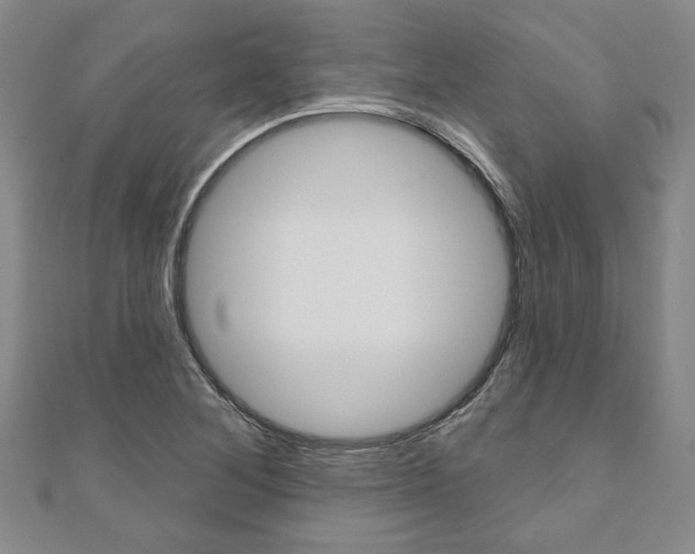 X0000110961268200906191042
