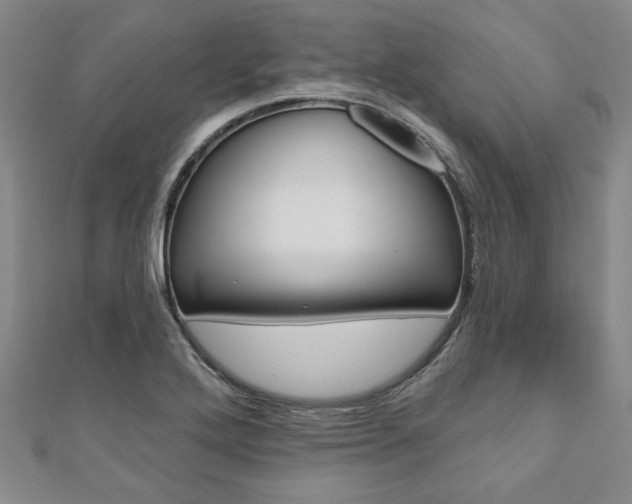 X0000110961272200906191042