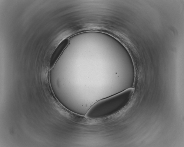 X0000110961273200906191042