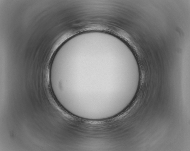 X0000110961274200906191042