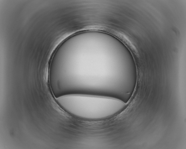 X0000110961276200906191042