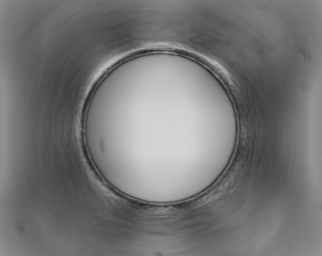 X0000110961279200906191042