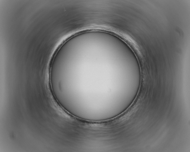 X0000110961280200906191042