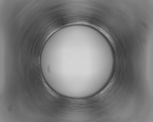 X0000110961281200906191042