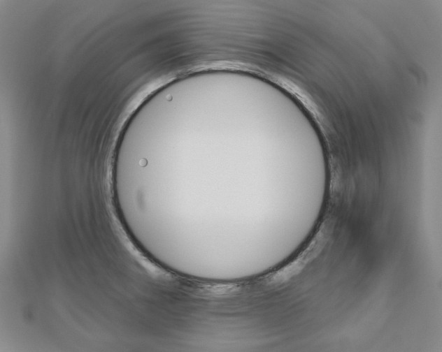 X0000110961282200906191042
