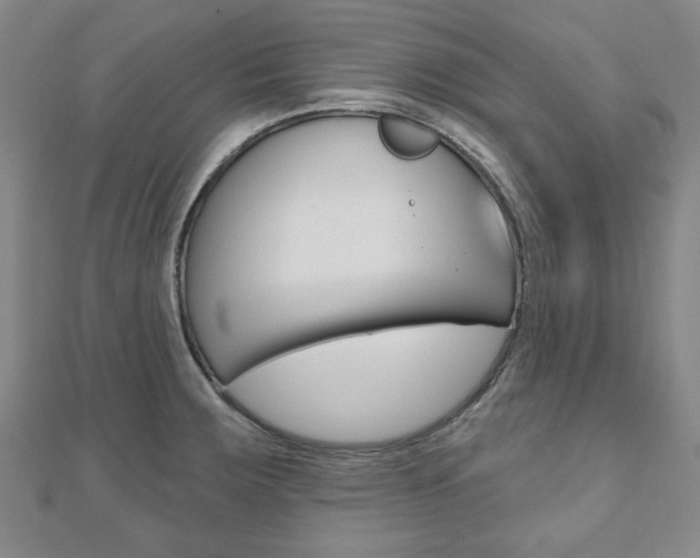 X0000110961283200906191042