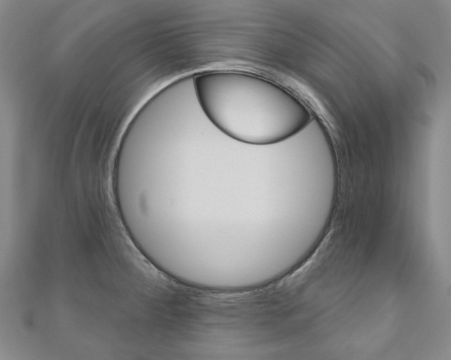 X0000110961284200906191042