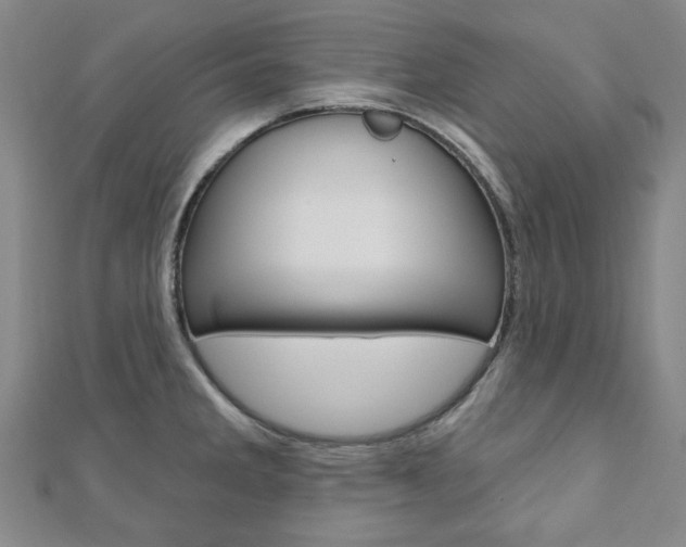 X0000110961285200906191042