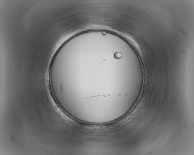 X0000110961287200906191042