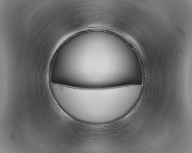 X0000110961288200906191042