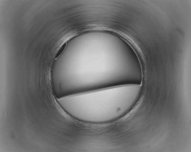 X0000110961289200906191042