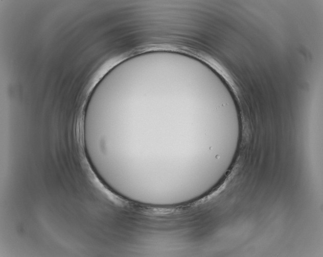 X0000110961290200906191042