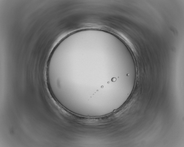 X0000110961291200906191042