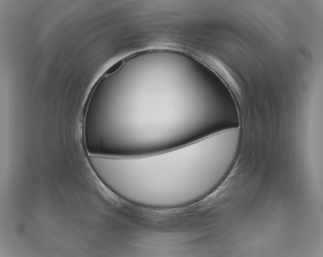 X0000110961292200906191042