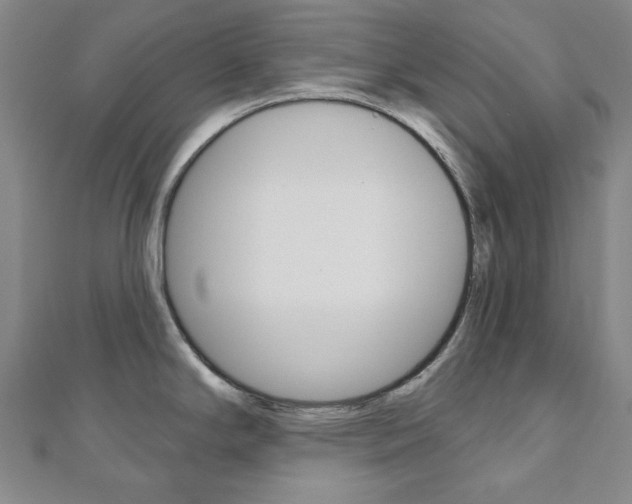 X0000110961294200906191042