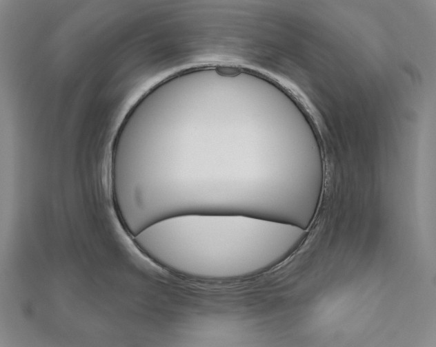 X0000110961295200906191042