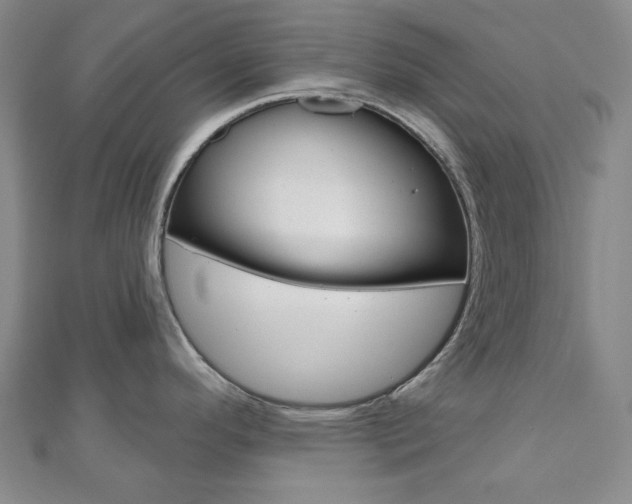 X0000110961296200906191041