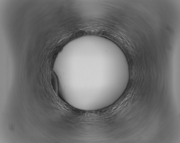 X0000110961297200906191041