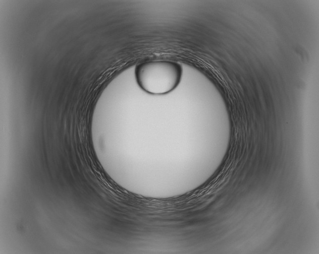 X0000110961298200906191041