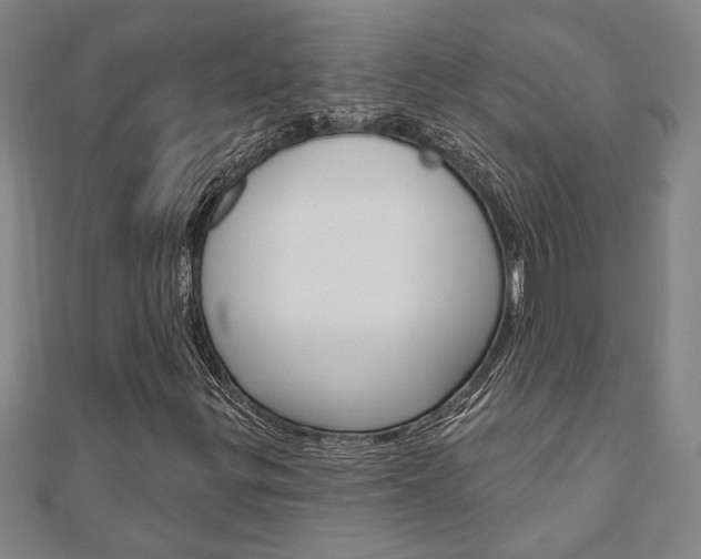 X0000110961299200906191041