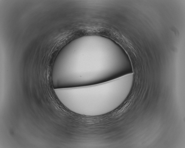 X0000110961300200906191041