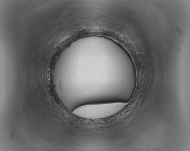 X0000110961301200906191041