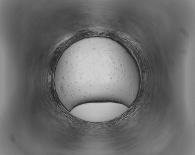 X0000110961302200906191041