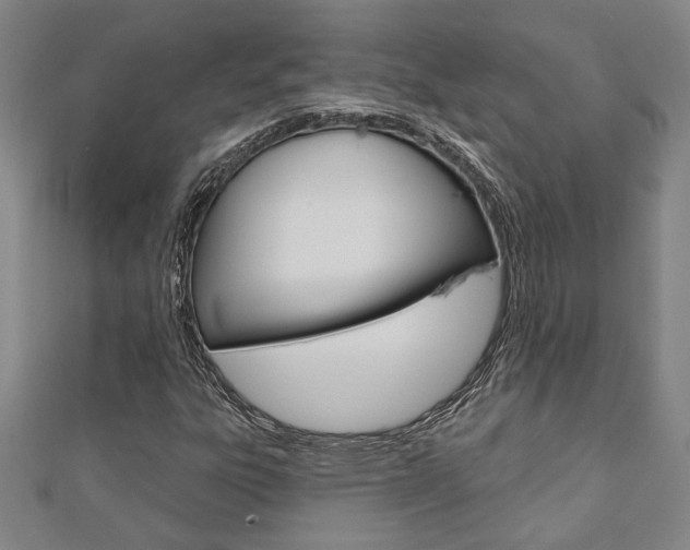 X0000110961303200906191041