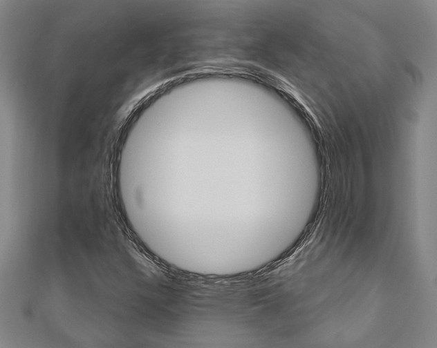 X0000110961304200906191041