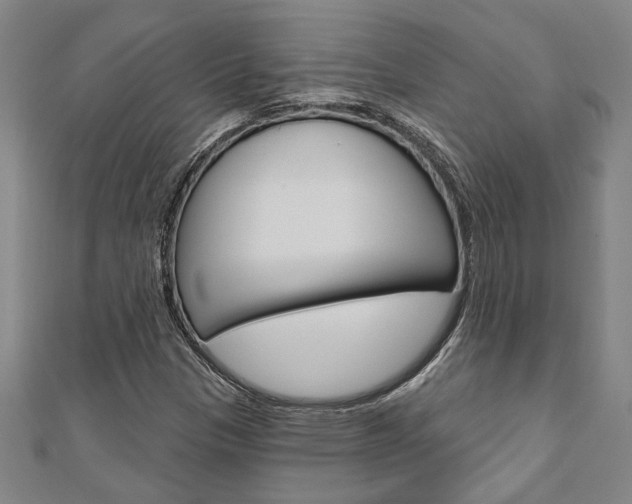 X0000110961305200906191041